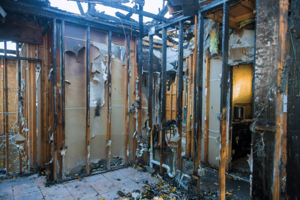 Professional Fire Damage Removal technician working in Middleport, NY